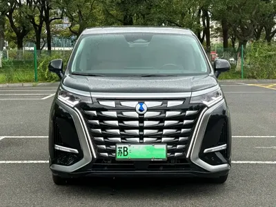 Denza Denza D9