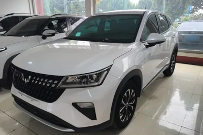 Wuling Alvez