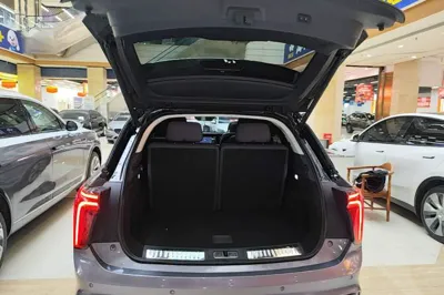 Hongqi E-HS9