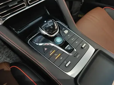 BYD PLUS