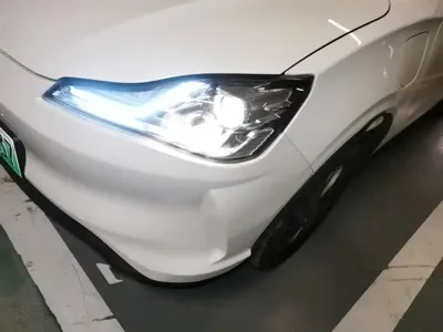NETA Neta V