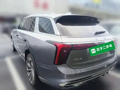 Hongqi Hongqi E-HS9