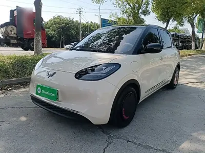 Wuling Bingo