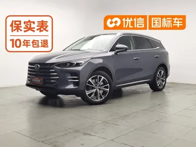BYD Tang New Energy