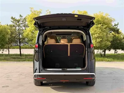 Denza Denza D9