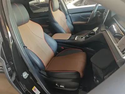 BYD PLUS