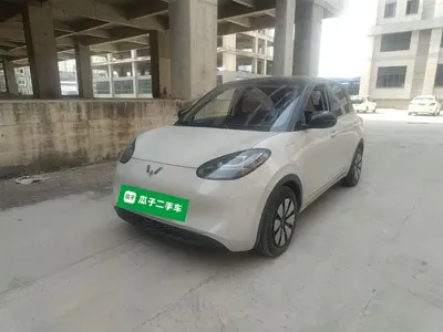 Wuling Bingo