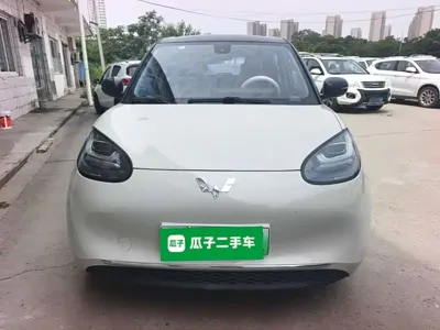 Wuling Bingo