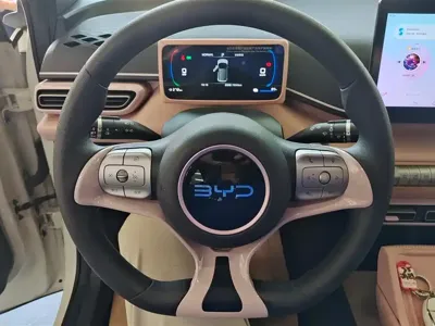 BYD Seagull