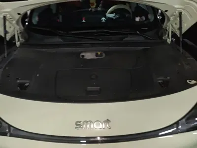 Smart Smart #1