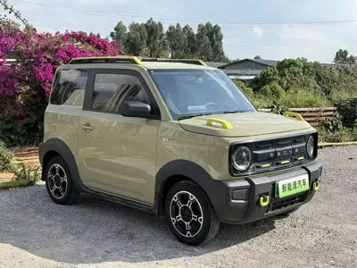 Galaxy Panda