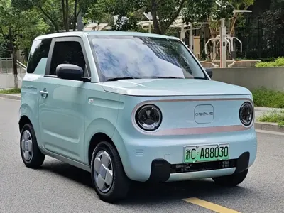 Galaxy Panda