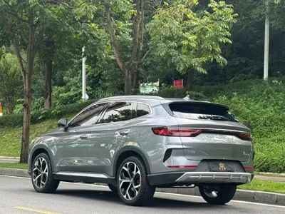 BYD PLUS