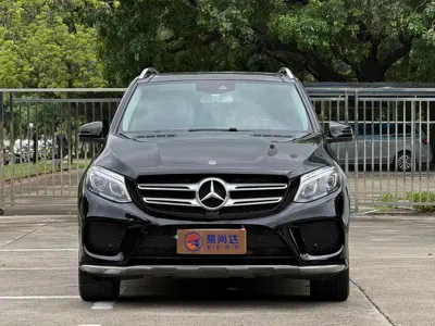 Mercedes-Benz 奔驰GLE(进口)