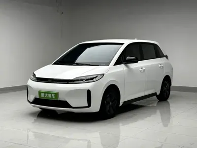 BYD D1