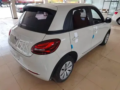 Wuling Bingo