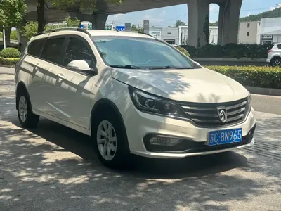 Baojun 310W