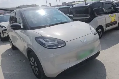 Wuling Bingo