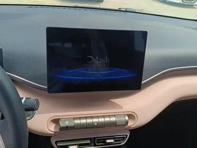 BYD Seagull
