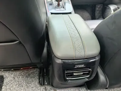 GAC Motor Shadow Leopard