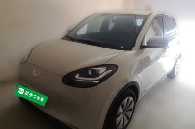 Wuling Bingo