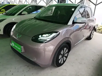 Wuling Bingo
