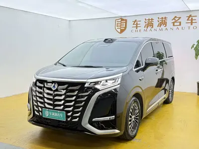 Denza Denza D9