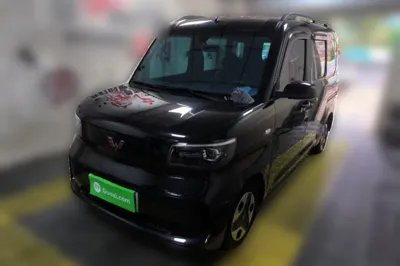 Wuling Zhiguang New Energy