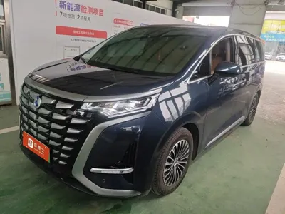 Denza Denza D9