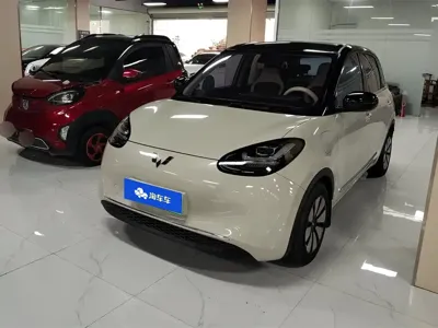 Wuling Bingo