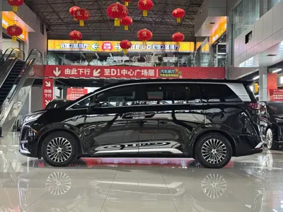 Denza Denza D9