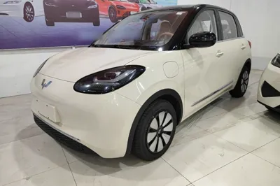 Wuling Bingo