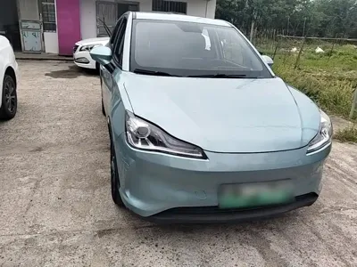 NETA Neta V