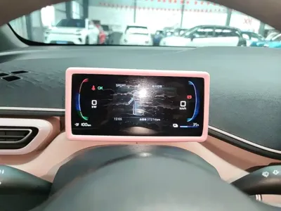 BYD Seagull