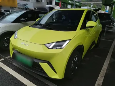 BYD Seagull