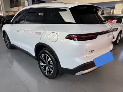 BYD Pro New Energy
