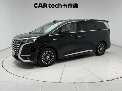 Denza Denza D9