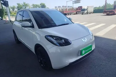 Wuling Bingo
