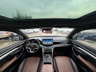BYD PLUS