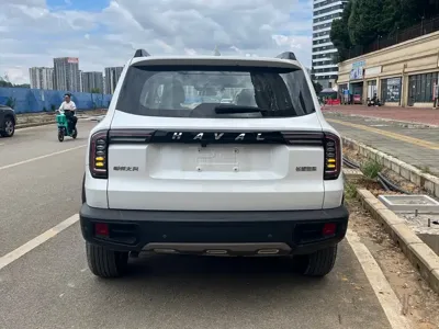 Haval Big Dog