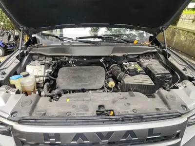 Haval Big Dog