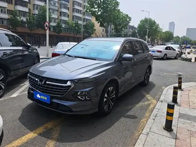Wuling Victory
