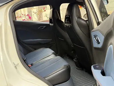 BYD Seagull
