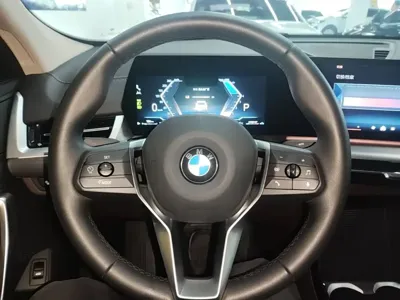 BMW X2 (Import)