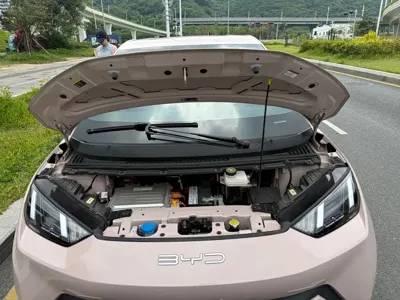 BYD Seagull