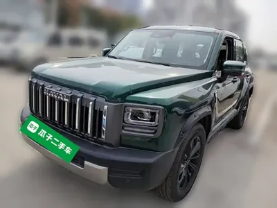 Haval Menglong Petrol