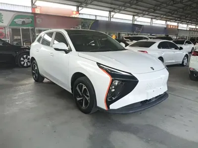 Fengxing Fengxing Leiting