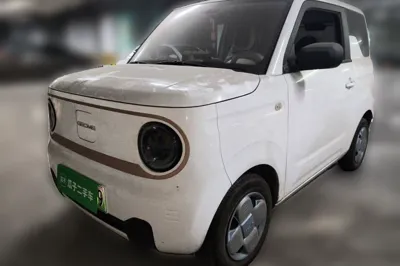 Geely Galaxy Panda