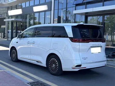 Denza Denza D9