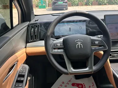 BYD L DM-i